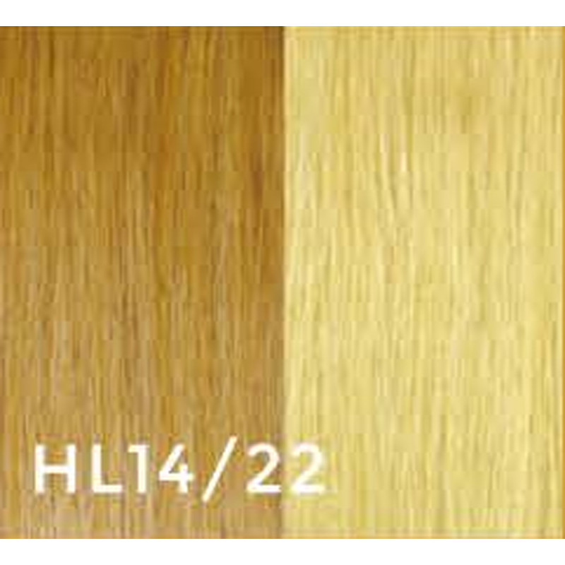 gbb double tape hair extensions #14/22 16